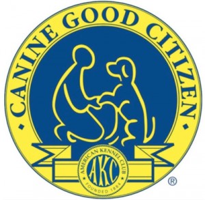 akc-canine-good-citizen